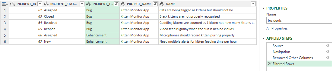 Filtering the INCIDENT_TYPE_NAME column